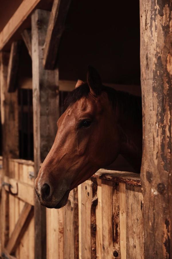 J A Ranch Bed & Breakfast Stromsnasbruk المظهر الخارجي الصورة