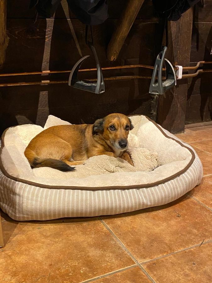 J A Ranch Bed & Breakfast Stromsnasbruk المظهر الخارجي الصورة